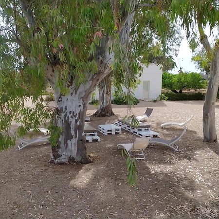 Terreamare Agriturismo Porto Cesareo Zewnętrze zdjęcie