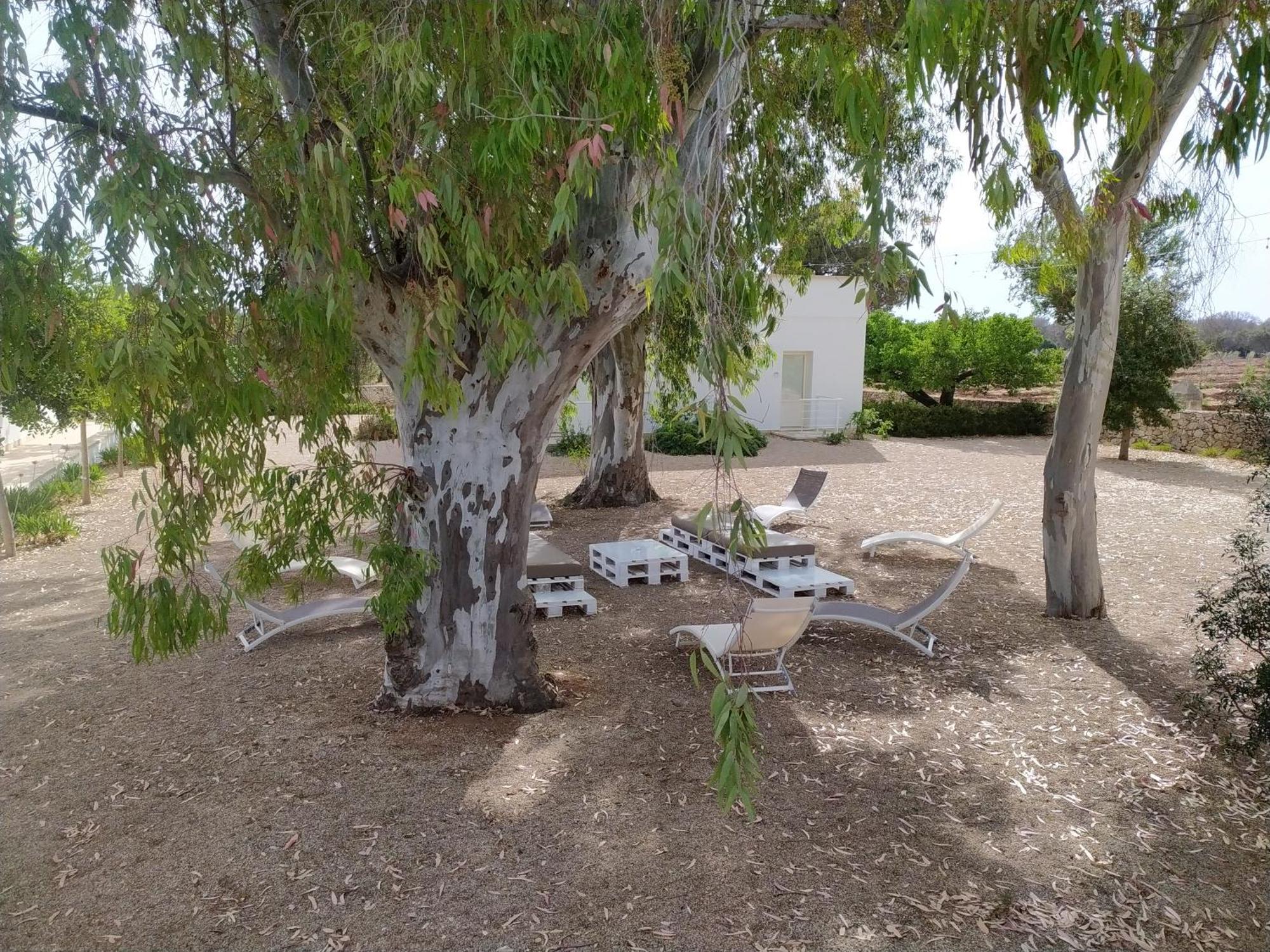 Terreamare Agriturismo Porto Cesareo Zewnętrze zdjęcie