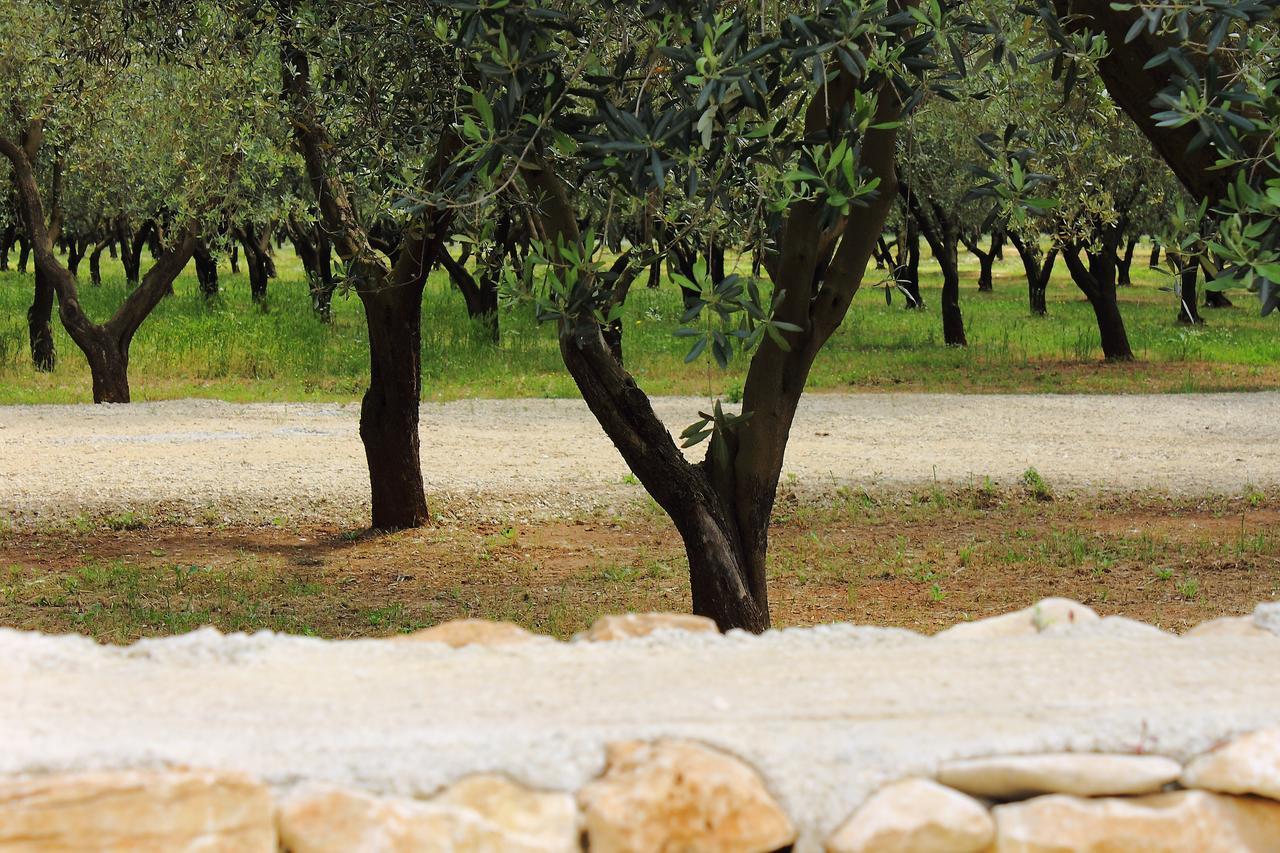 Terreamare Agriturismo Porto Cesareo Zewnętrze zdjęcie